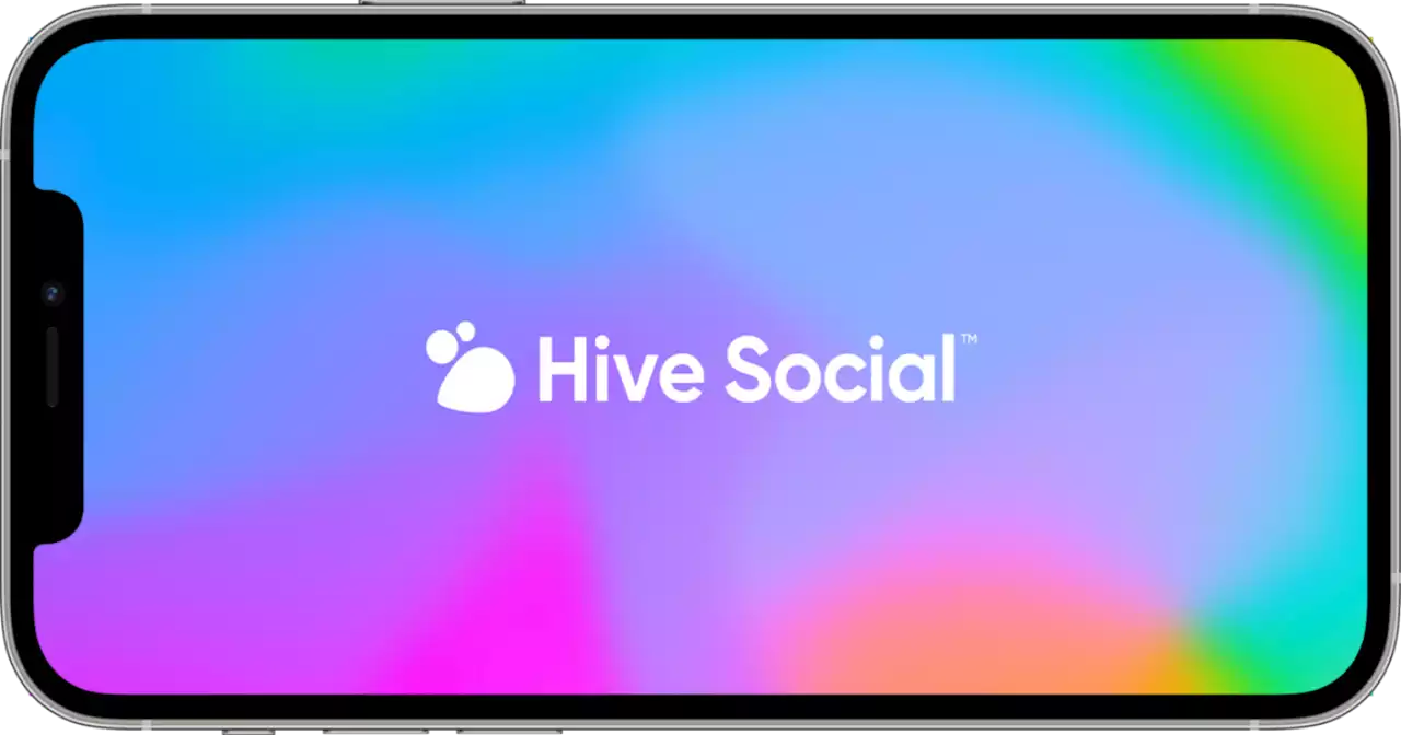 Hive โซเชียลมีเดียทางเลือกสำหรับคนหนีจาก Twitter มียอดผู้ใช้แตะ 1 ล้านบัญชีแล้ว #beartai