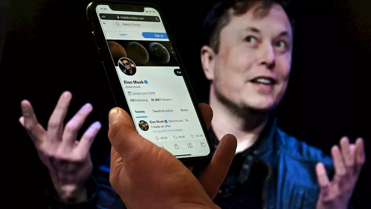 Twitter: Elon Musk envisage une 'amnistie générale' pour les comptes suspendus