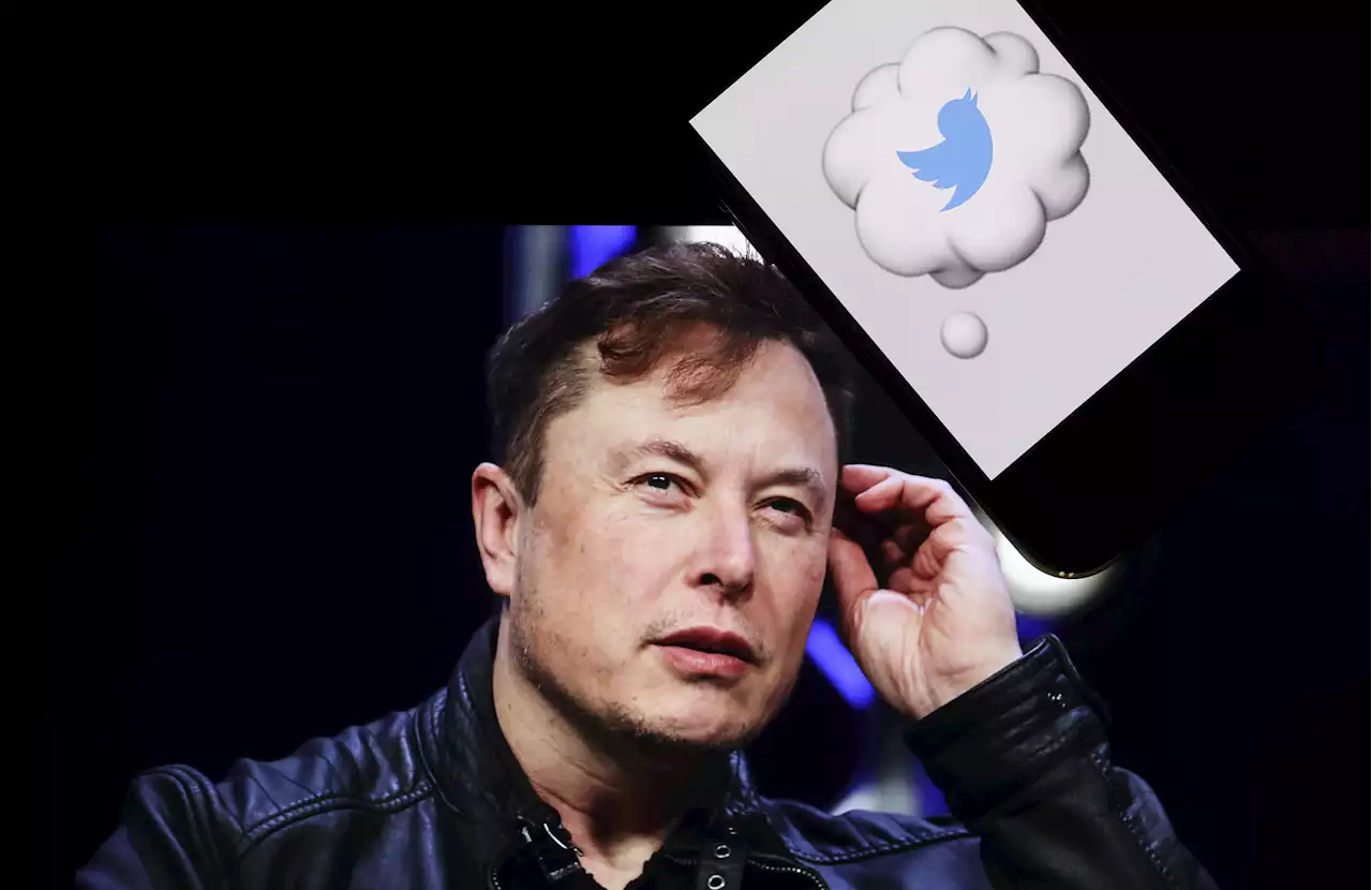 Wird Twitter unter Elon Musk zur Hass-Schleuder?