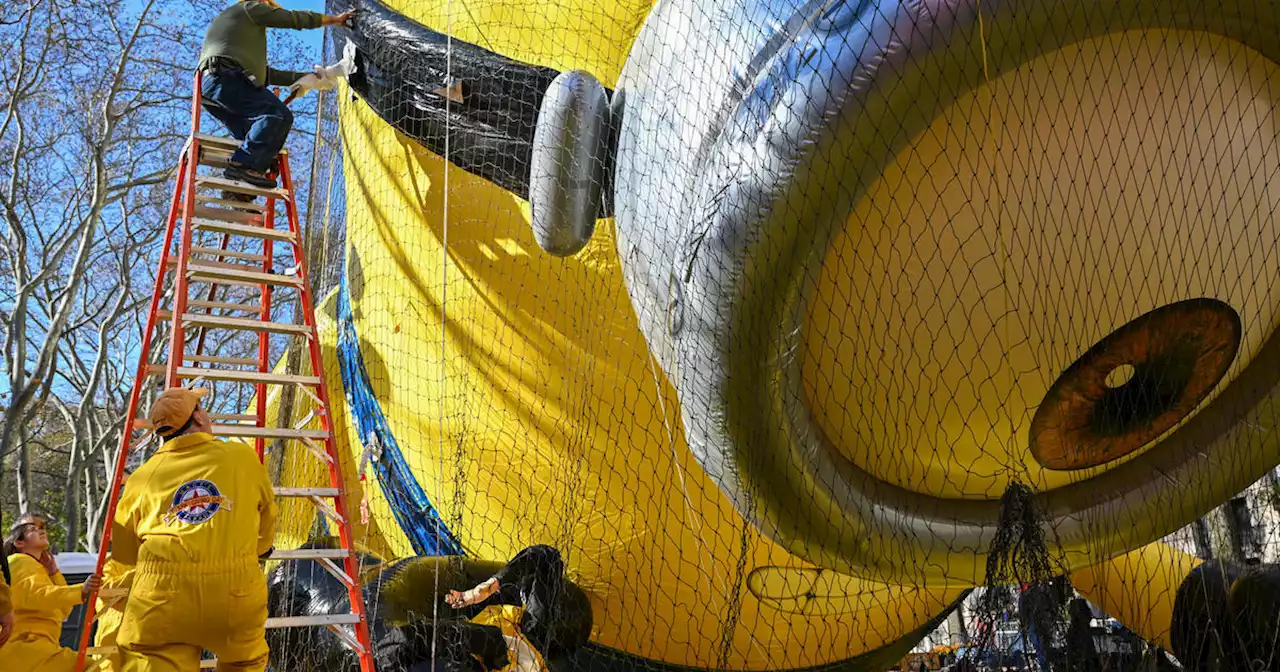 Macy's Thanksgiving Day Parade balloons inflated ahead of the big day