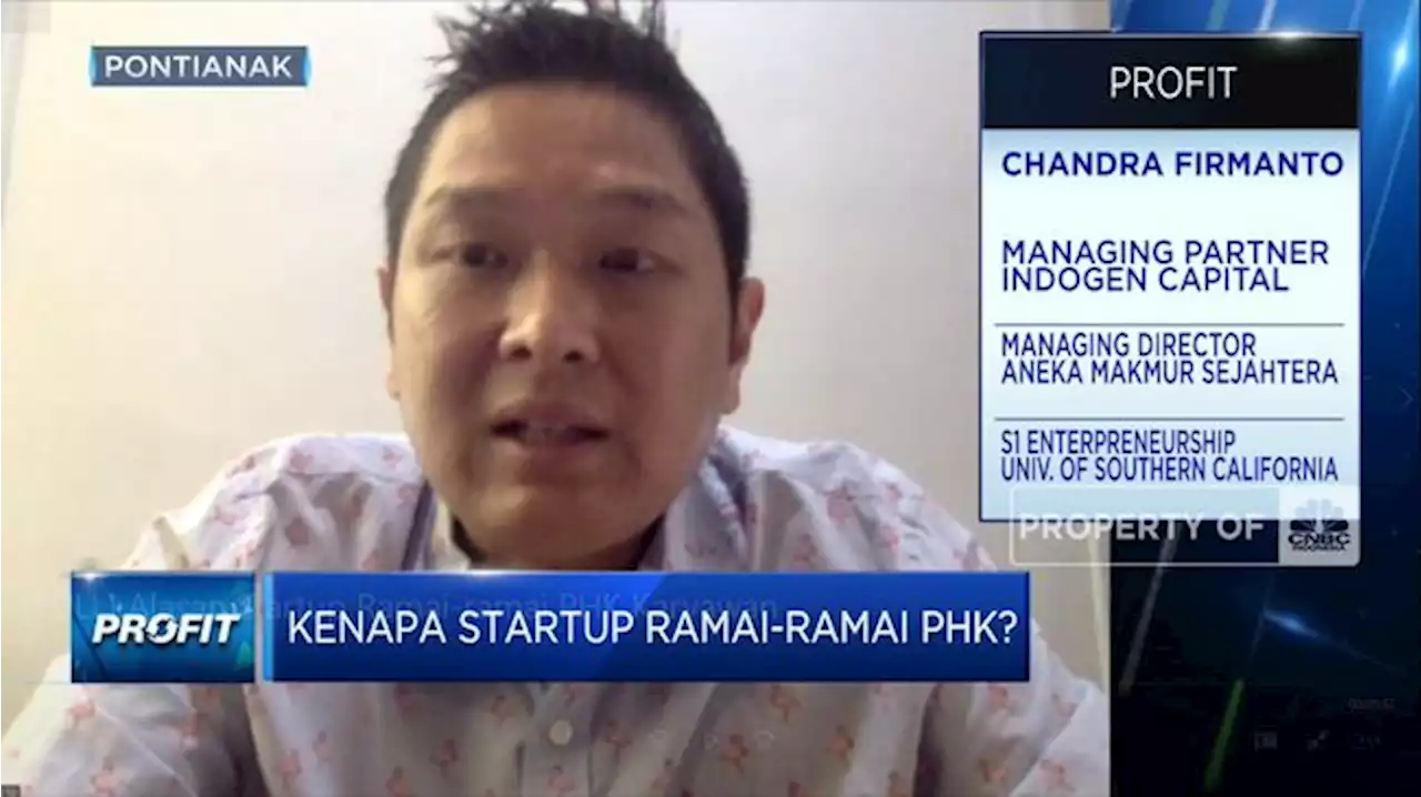 Video: Alasan Startup Ramai-ramai PHK Karyawan