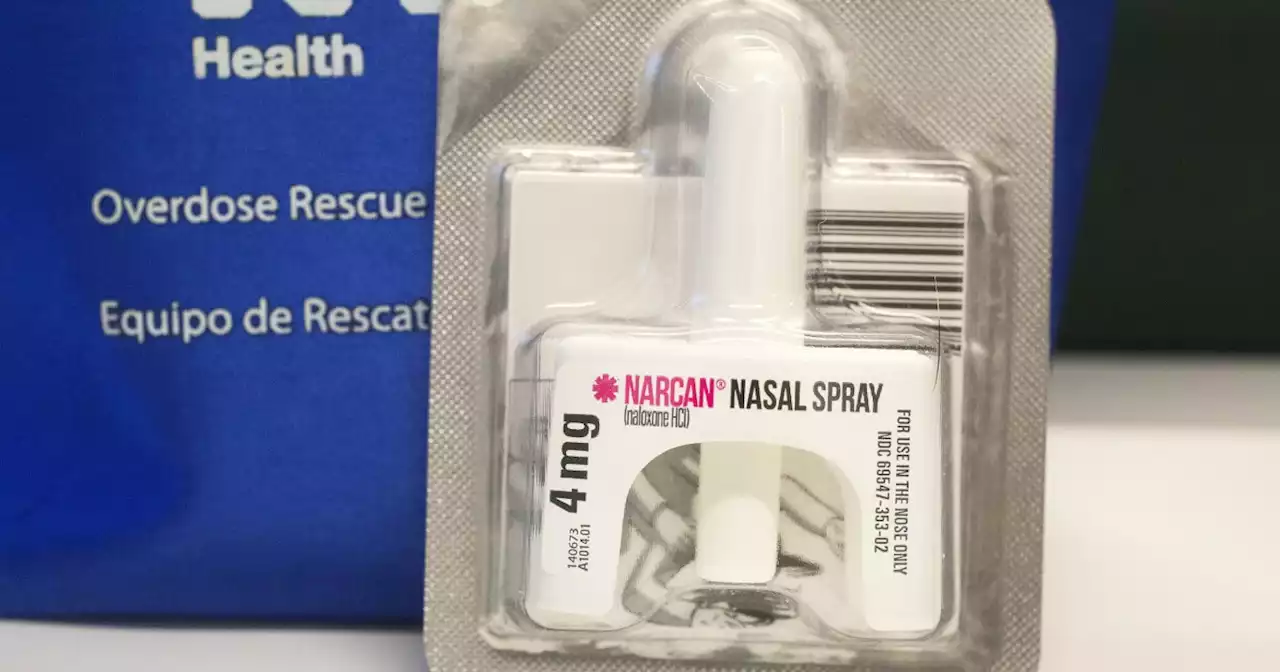 Firefighters use Narcan to rescue puppy who overdosed on fentanyl