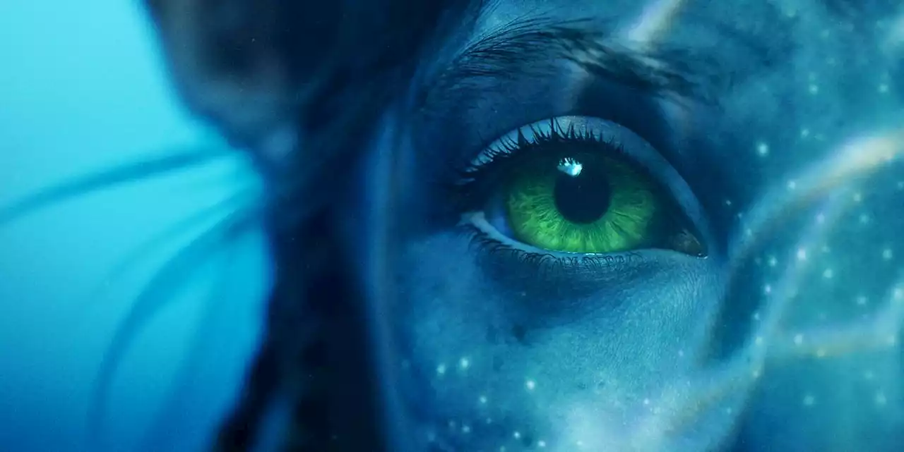 Avatar 2 set to double the box office debut of the first movie