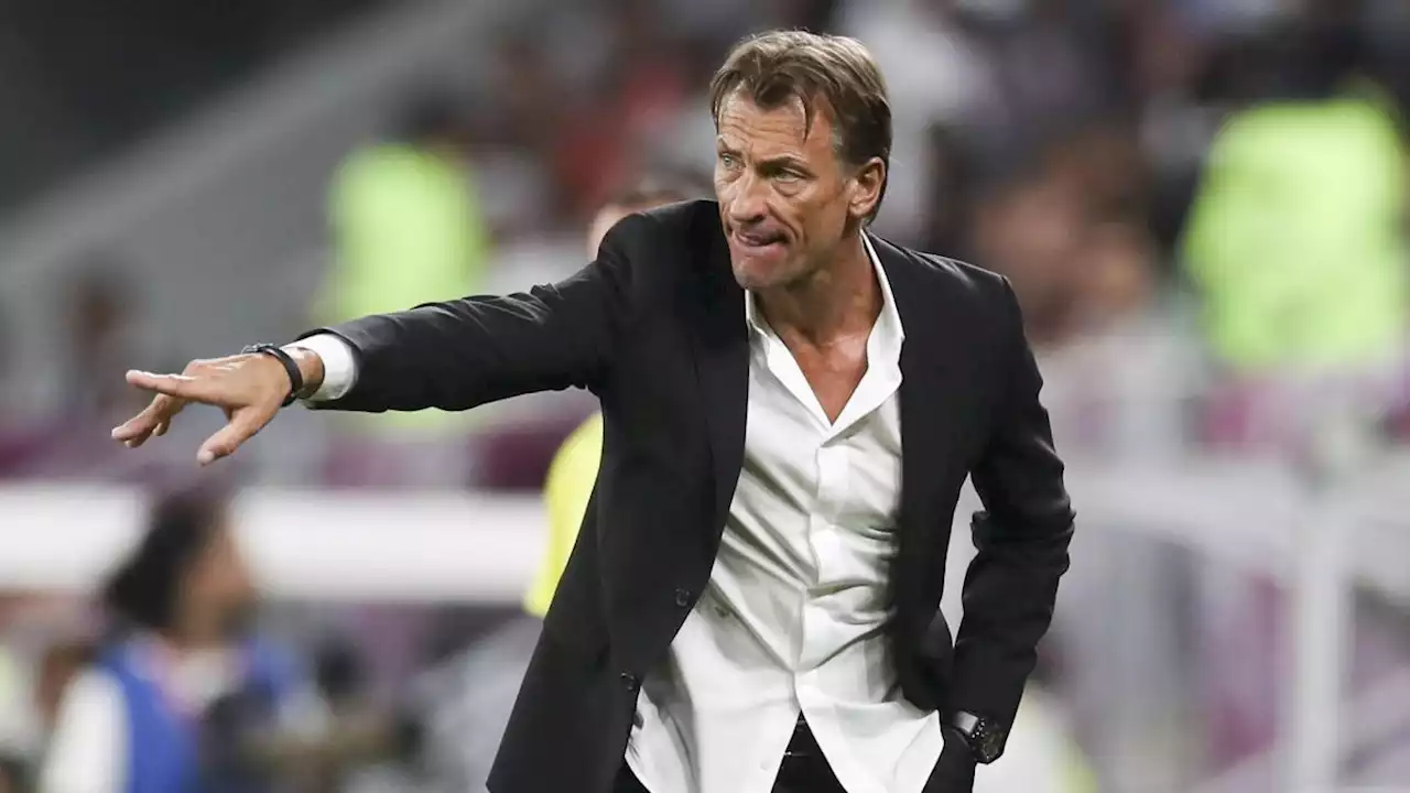 CdM 2022, Arabie Saoudite : les étonnantes révélations d'Hervé Renard