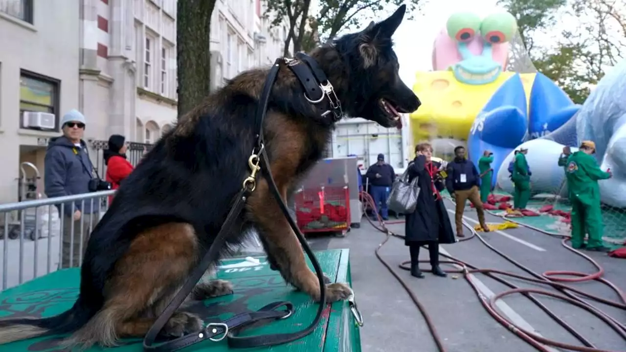 NYPD: No known threats to Macy's parade, but tight security