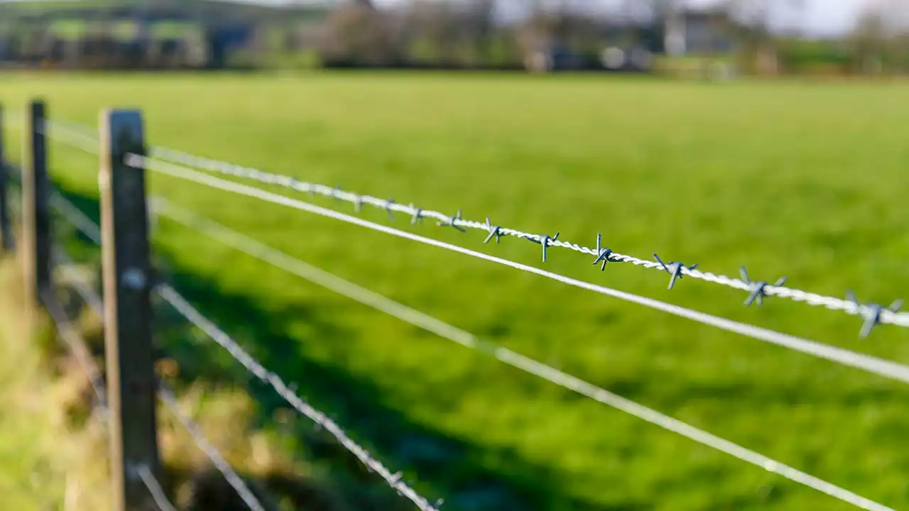 On this day in history, Nov. 24, 1874, the first commercially successful barbed wire is patented