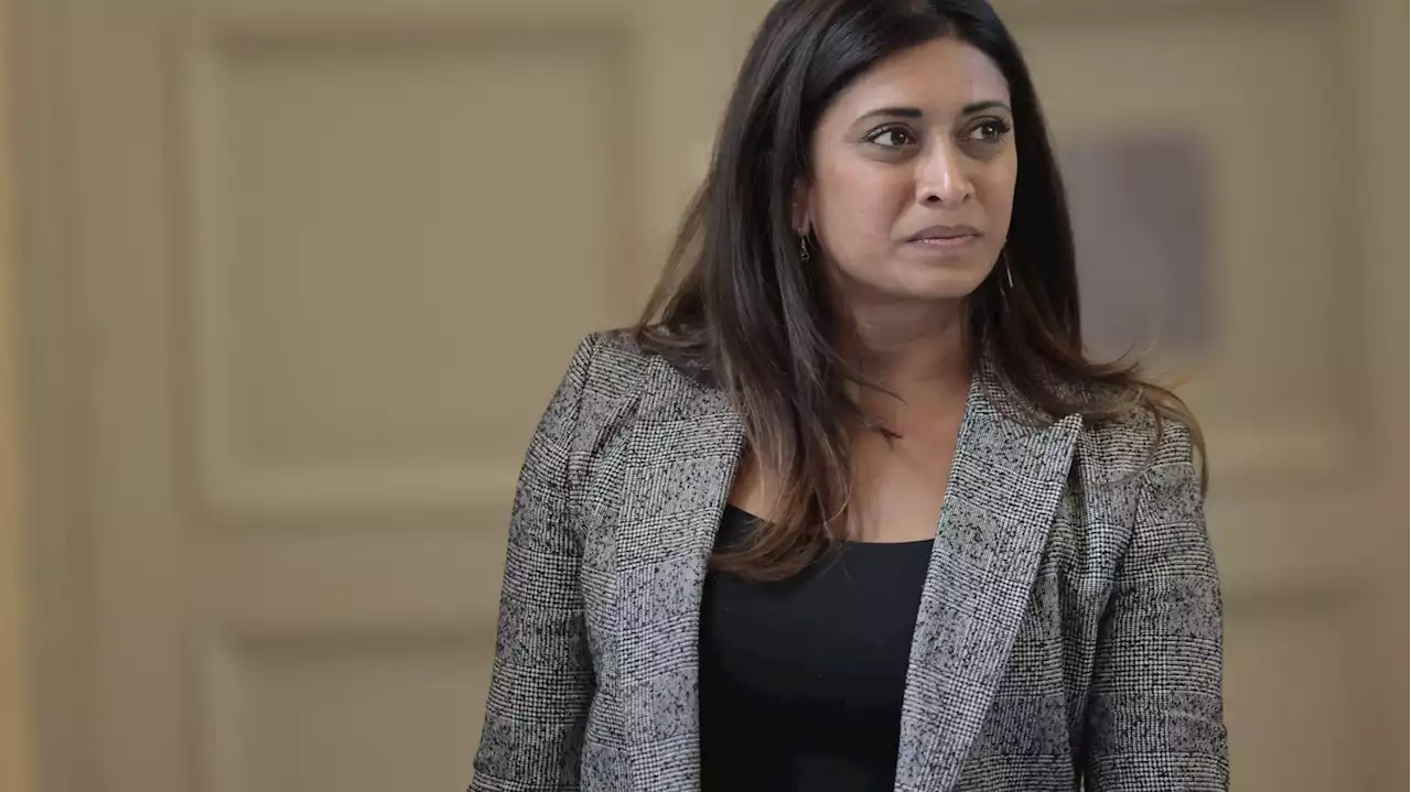 Affaire McKinsey : 'Laissons la justice faire', lance la députée Renaissance Prisca Thevenot