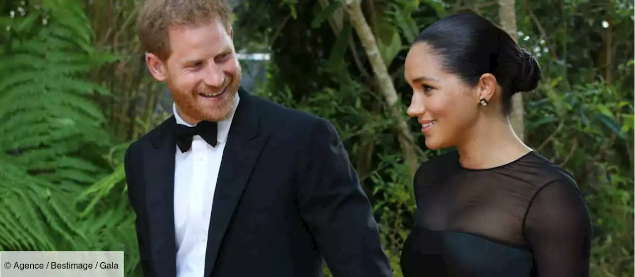 Meghan et Harry souriants : cette photo inédite qui détonne - Gala