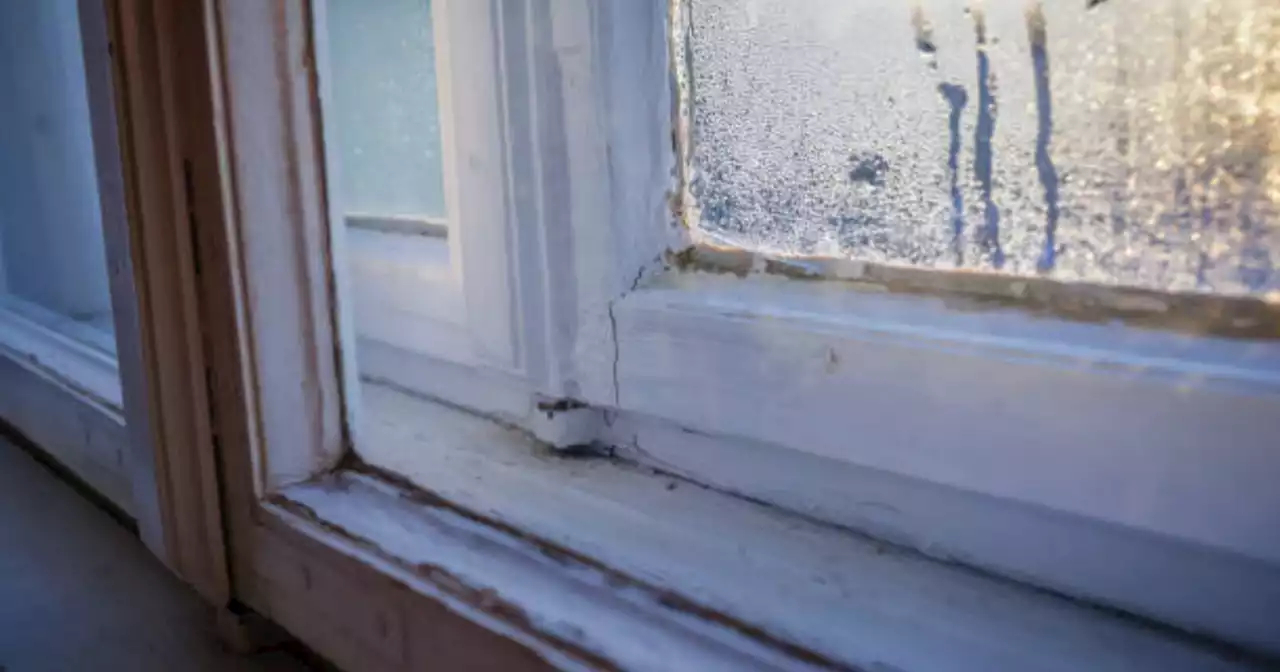 West Dunbartonshire say tenant safety a priority after mould caused death of two-year-old