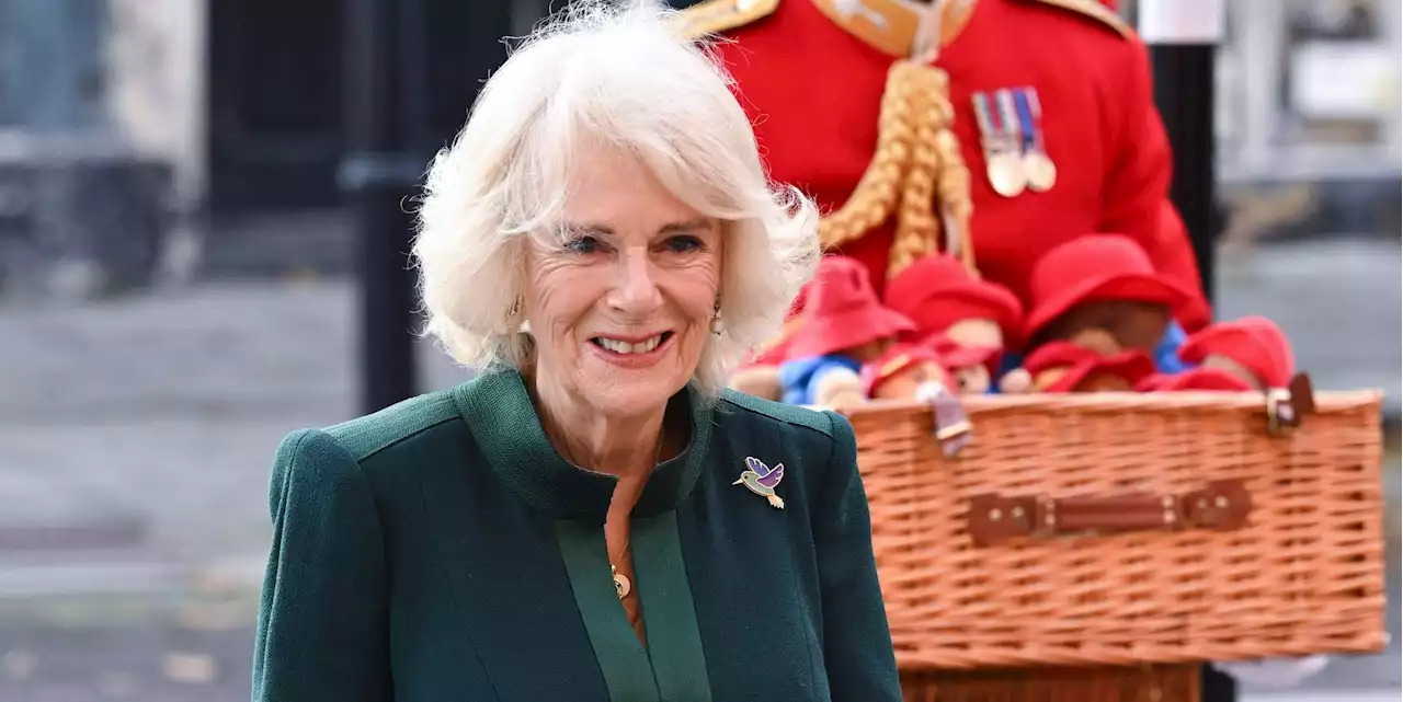 Queen Camilla Visits Children's Charity to Donate Paddingtons and Teddy Bears