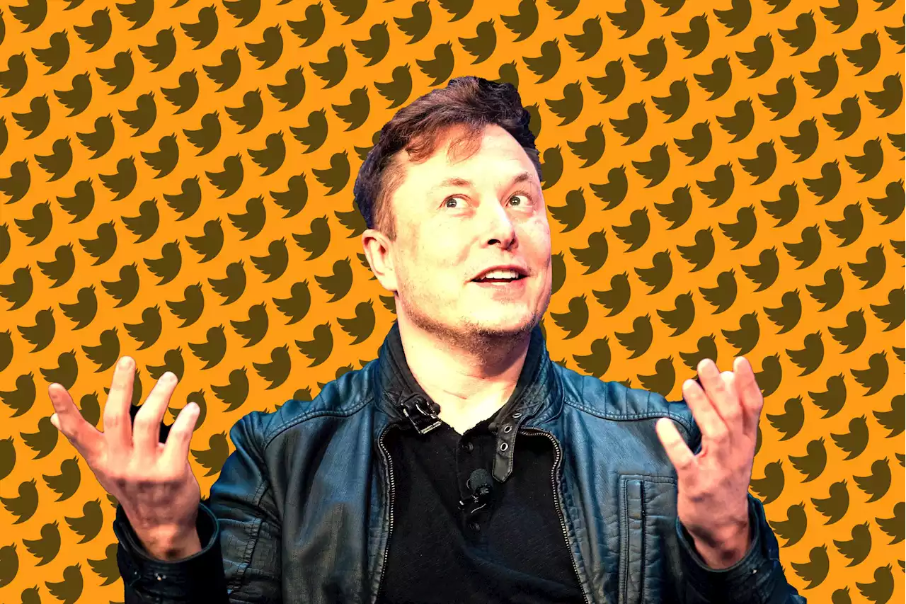 Elon Musk despide a más desarrolladores de Twitter porque su código “no era satisfactorio”