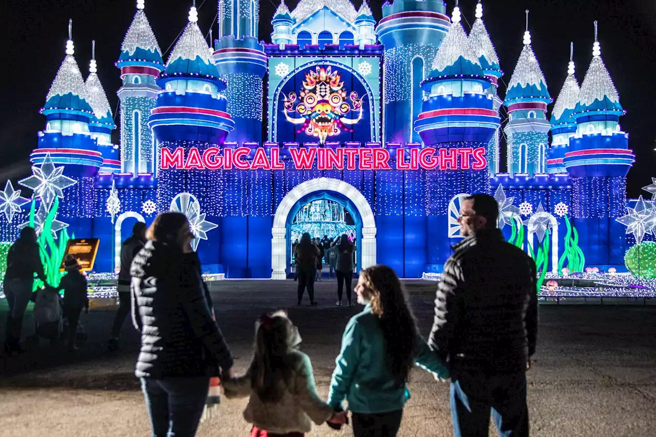 Walk in a winter wonderland at these holiday light shows across Houston