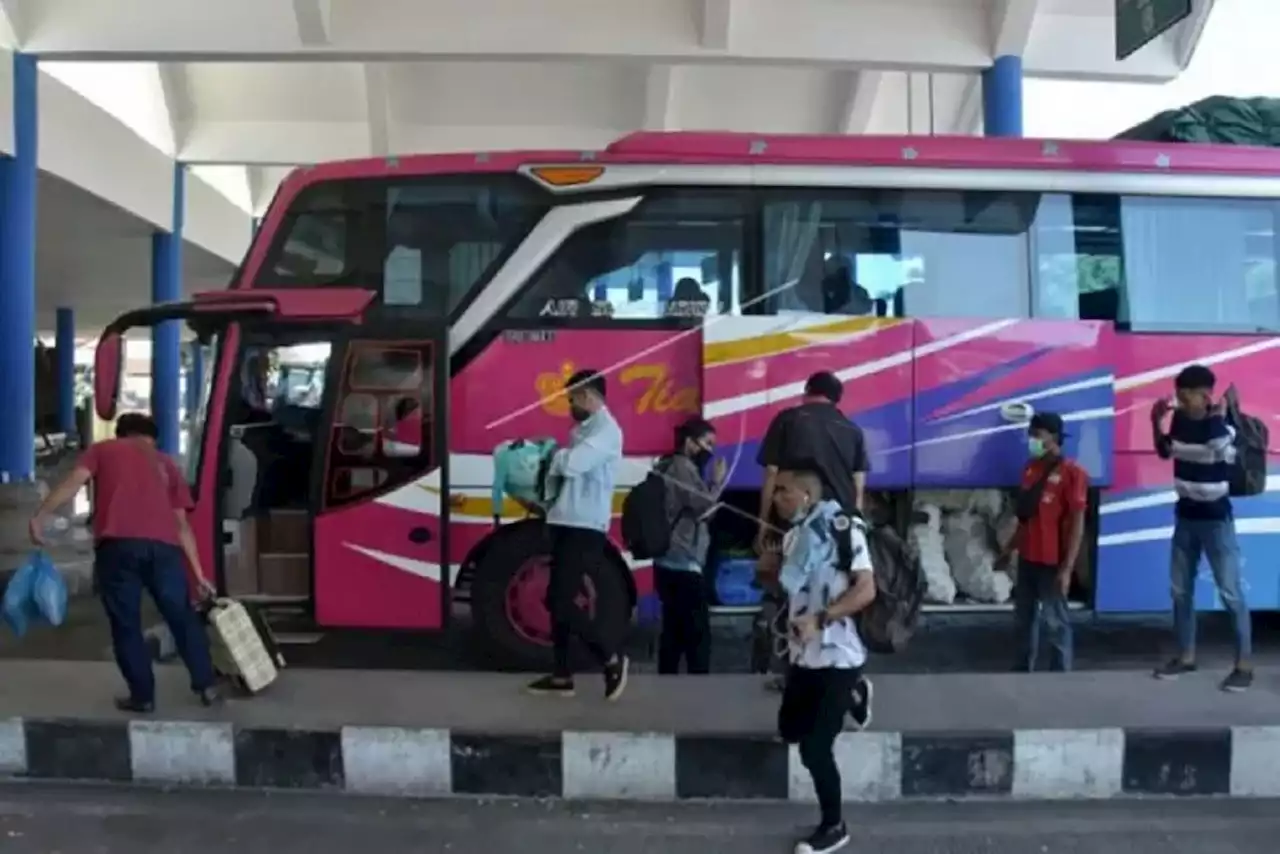 Jadwal Lengkap Bus AKAP Bali - Pulau Jawa Kamis 24 November 2022, Cek di Sini