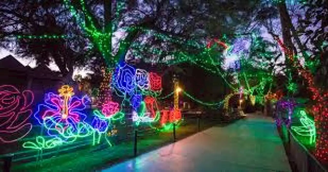 ZooLights 2022: Holiday Magic set to twinkle at Reid Park Zoo beginning Dec. 2