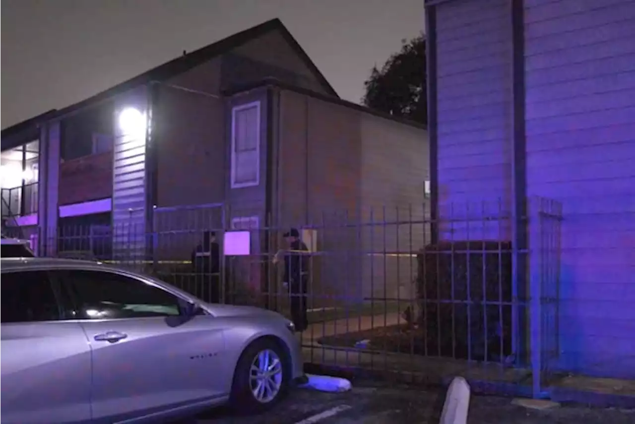 2 male relatives fatally shot at west Houston apartment complex, police say