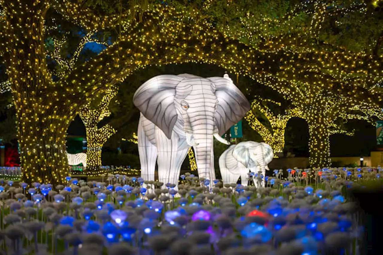 Zoo Lights canceled Thursday due to possible storms, inclement weather