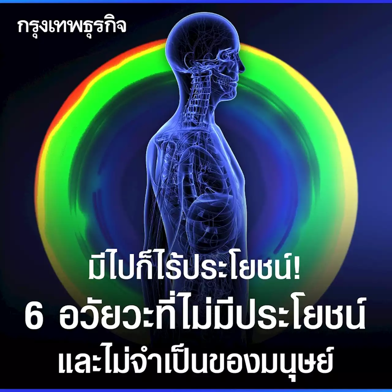 มีไปก็ไร้ประโยชน์! 6 อวัยวะที่ไม่จำเป็นของมนุษย์