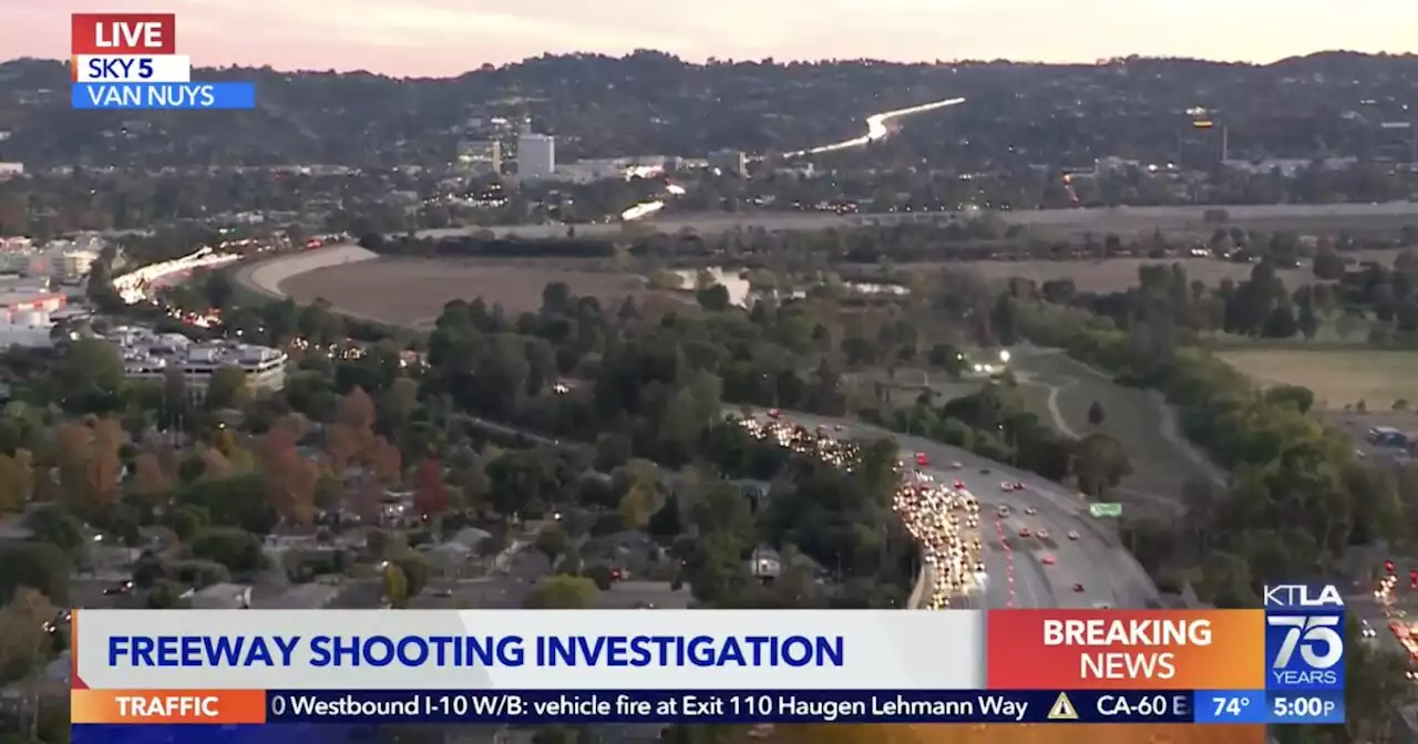 Two brothers arrested in connection with 405 Freeway shooting in Van Nuys