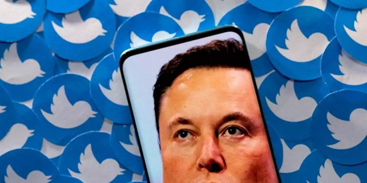 Twitter : les comptes suspendus seront peut-être de nouveau autorisés par Elon Musk