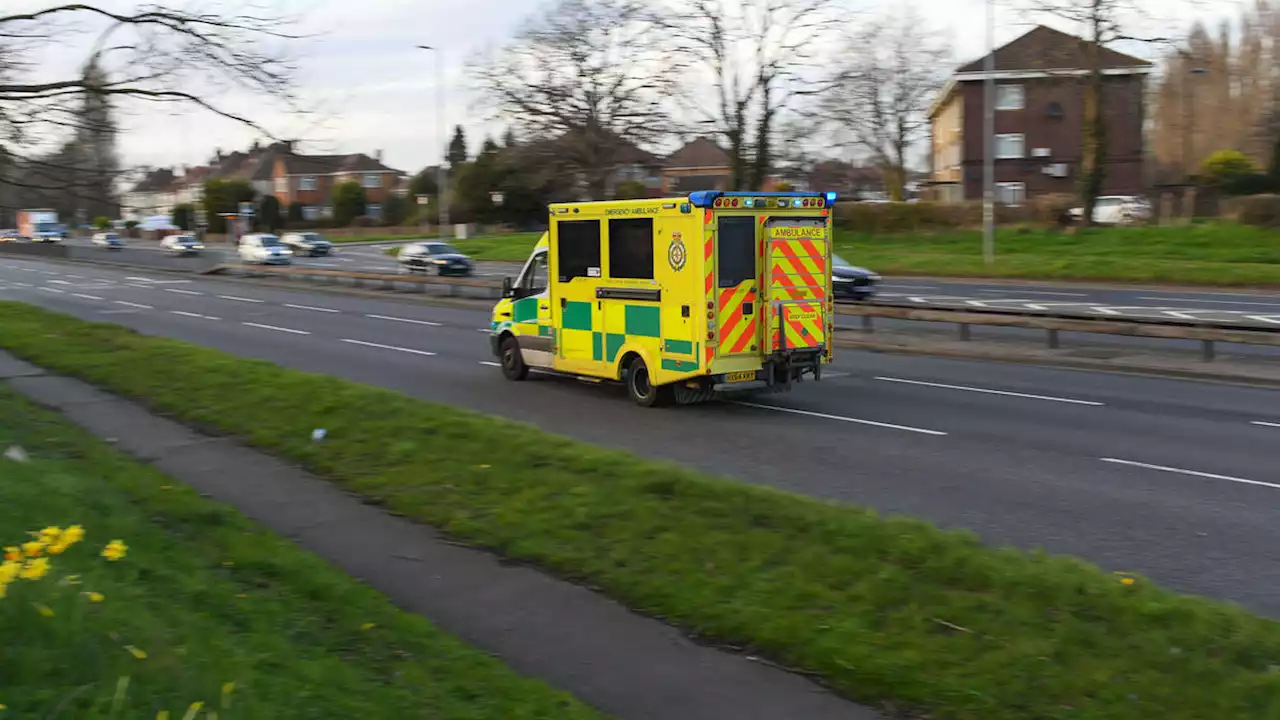 Ambulance patient, 59, ‘tried to hack off paramedic’s ear with meat cleaver’