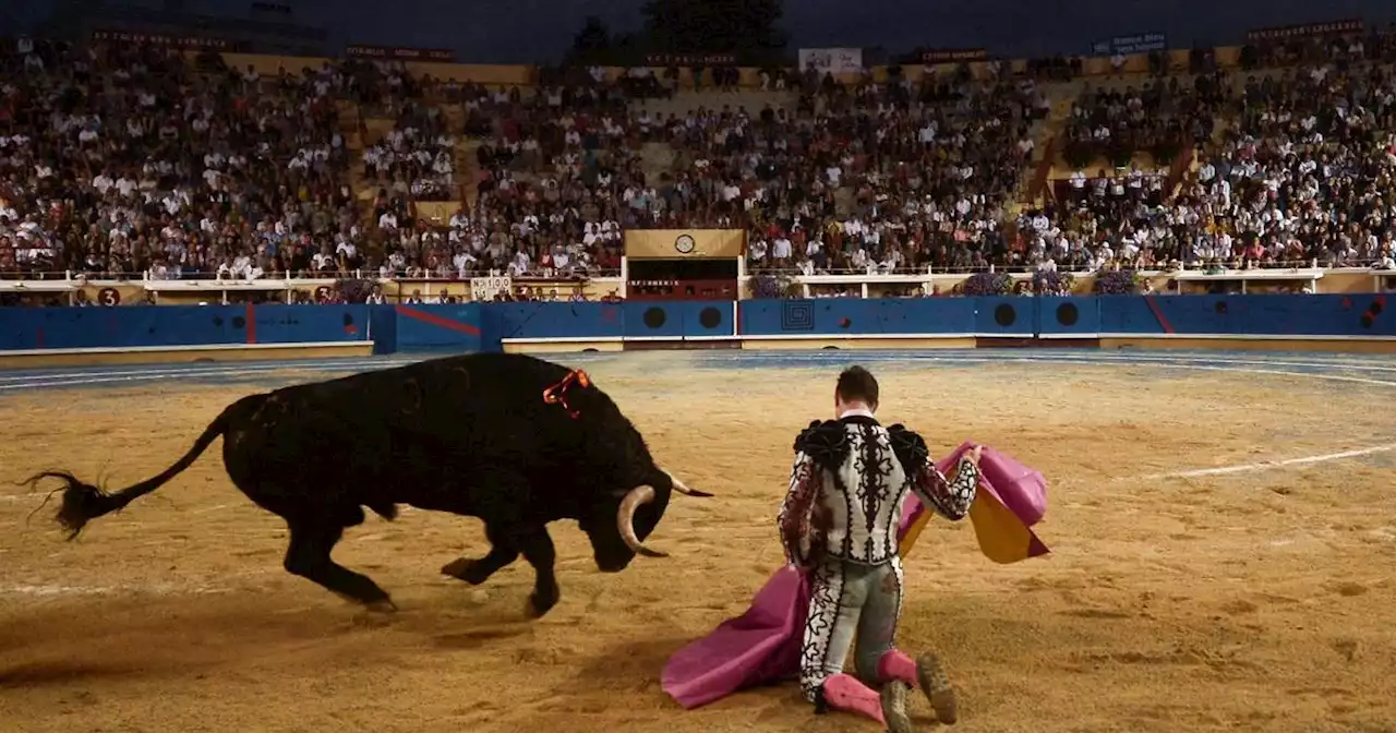 «Un spectacle antimoderne par excellence» : la corrida défendue par ceux qui la font vivre