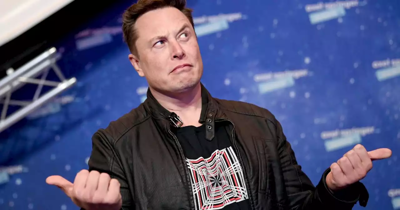 Twitter : Elon Musk propose une 'amnistie générale' pour les comptes suspendus