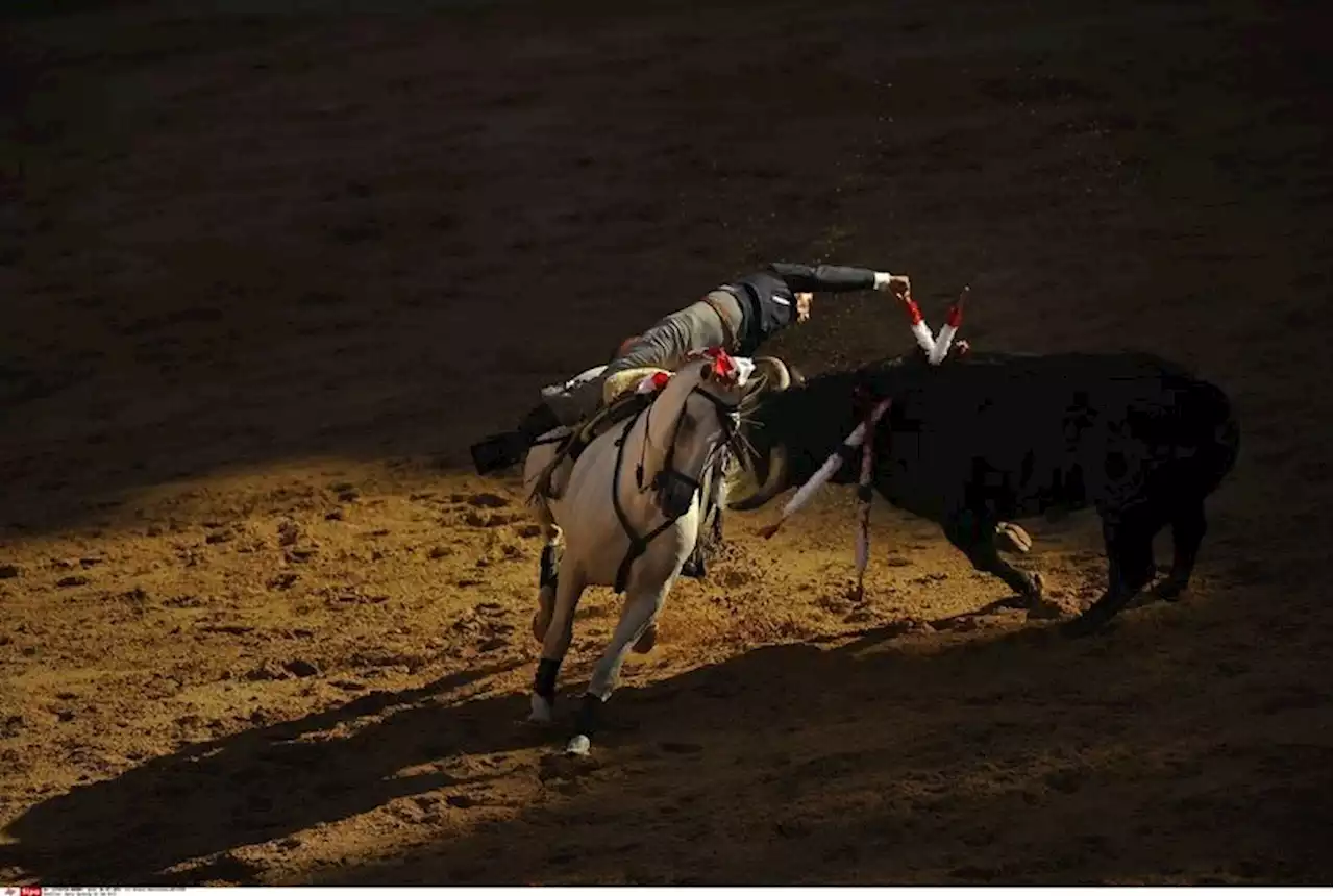 Corrida : 'éloge de l’indéfendable', par Cécile Guilbert