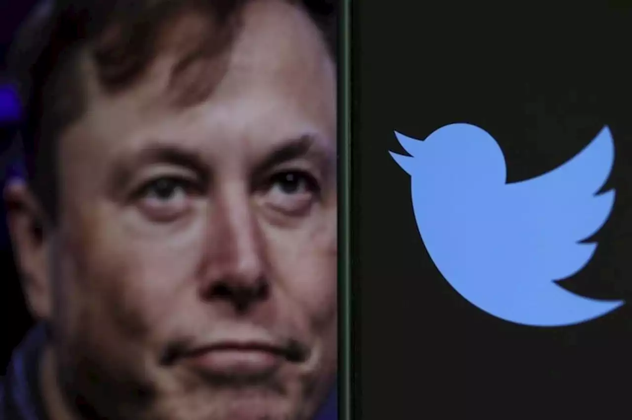 Elon Musk envisage une 'amnistie générale' pour les comptes suspendus de Twitter