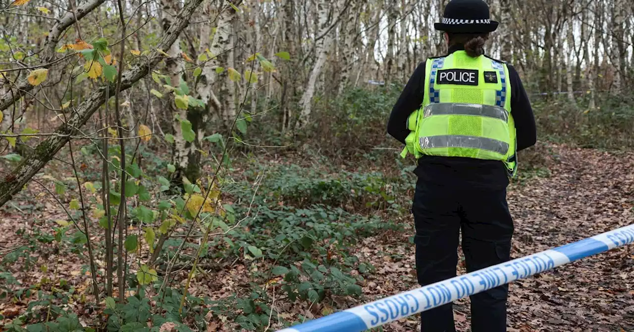 BREAKING: Police cordon off woodlands as man found dead