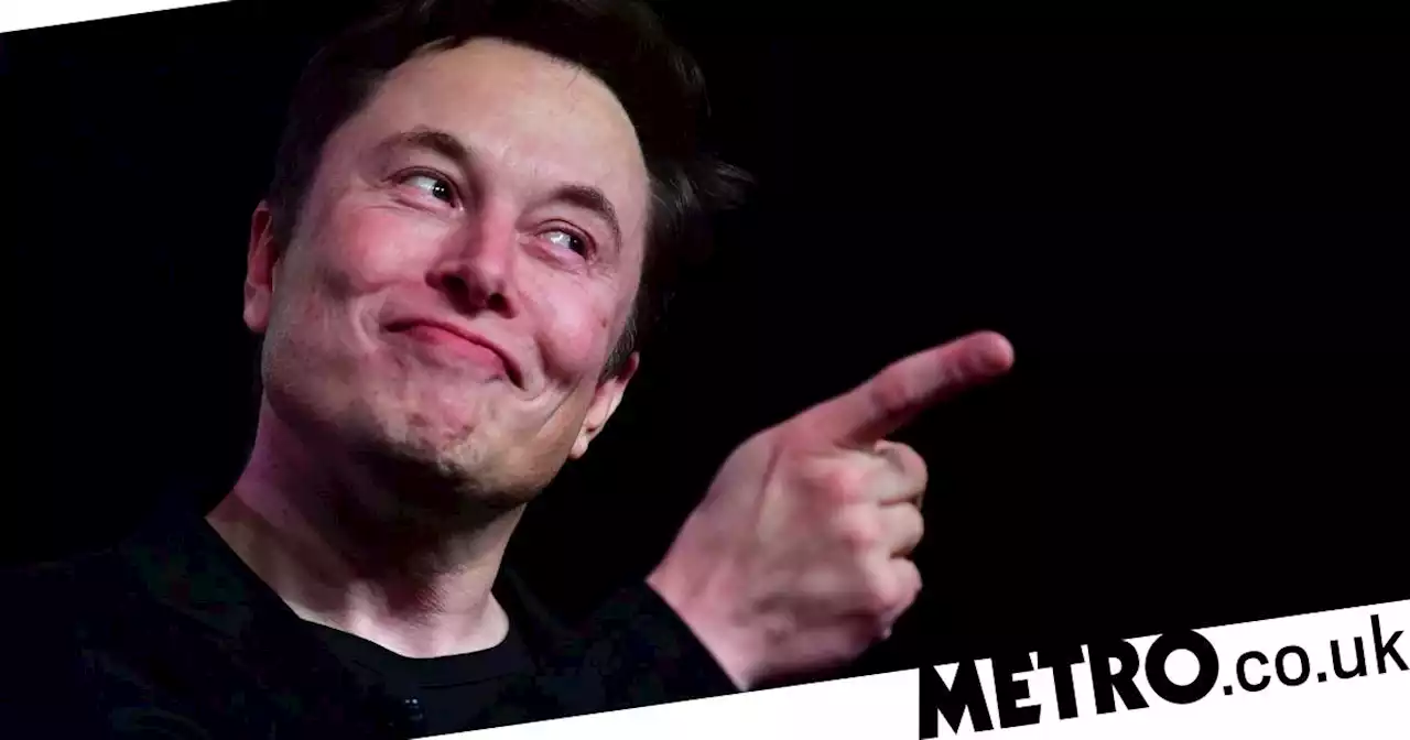 Elon Musk mocks '#StayWoke' shirts at Twitter HQ with his own version