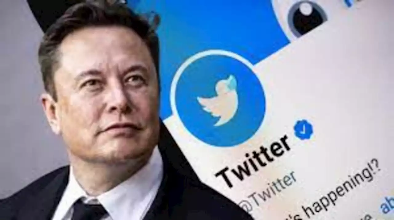 Elon Musk considers reinstating all suspended Twitter accounts
