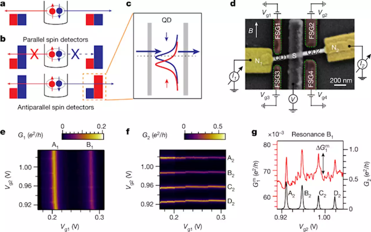 Spin cross-correlation experiments in an electron entangler - Nature