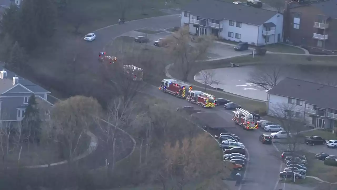 2 Children Pulled From Suburban Palatine Pond After Falling Into the Water, Officials Say