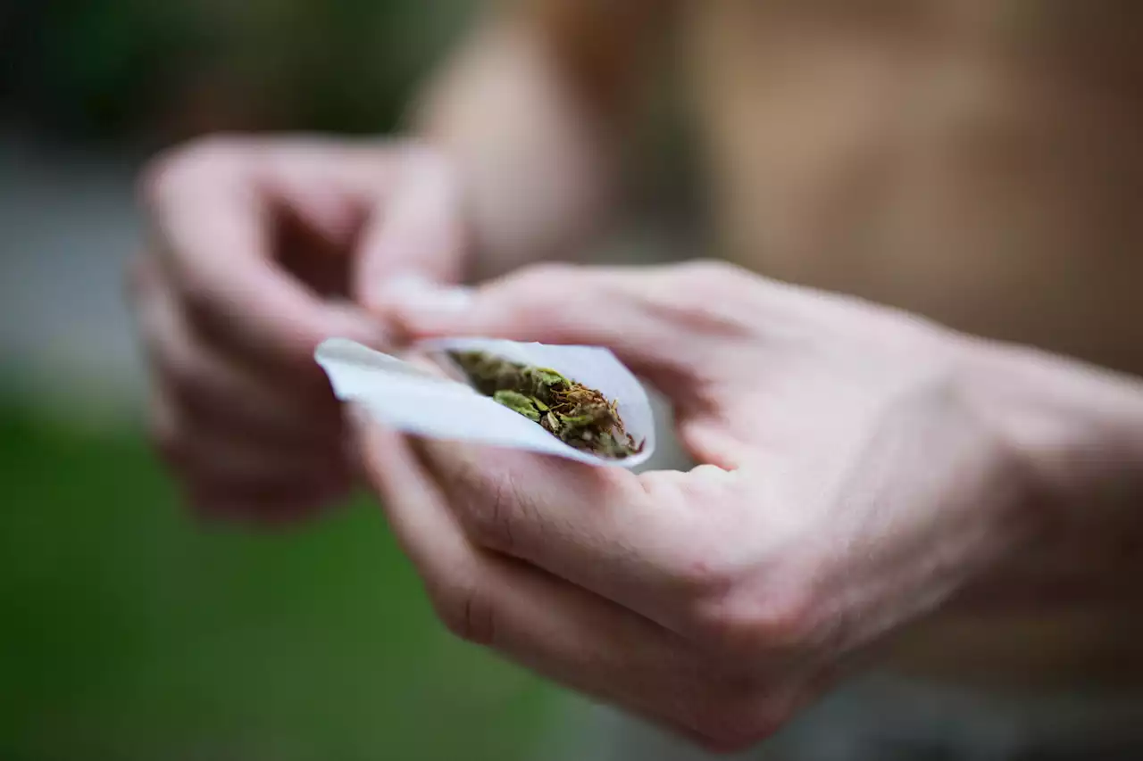 Cannabis bill 'important first step towards full regulation'