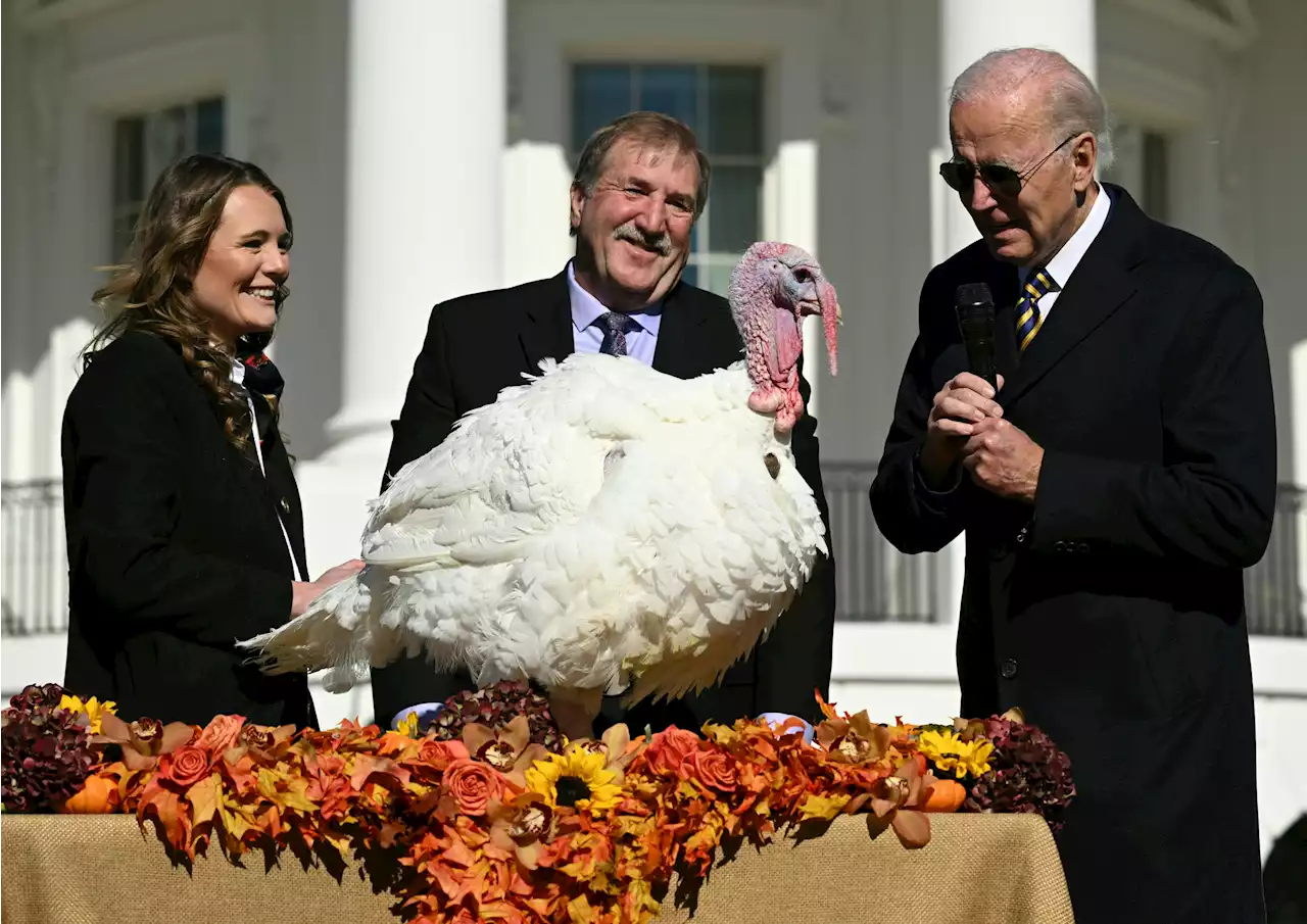 Joe Biden vows he's fixing inflation as Thanksgiving costs hit Americans