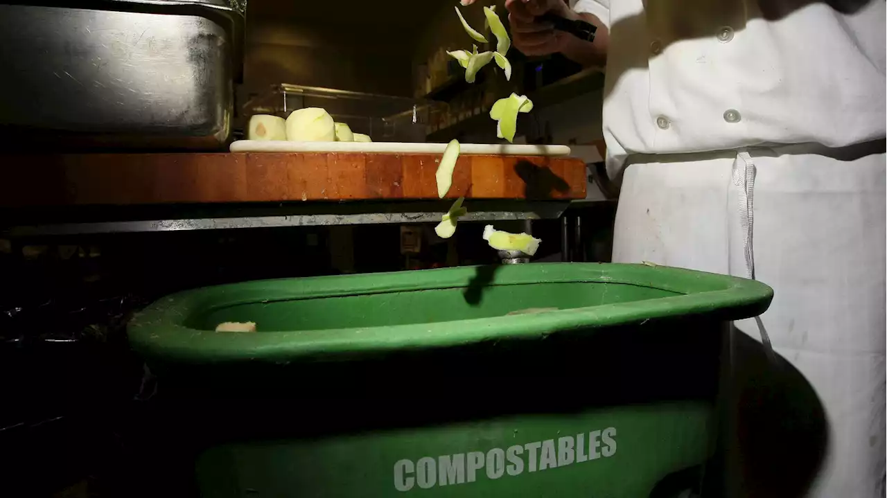 Consider making less food and composting leftovers this Thanksgiving, experts say