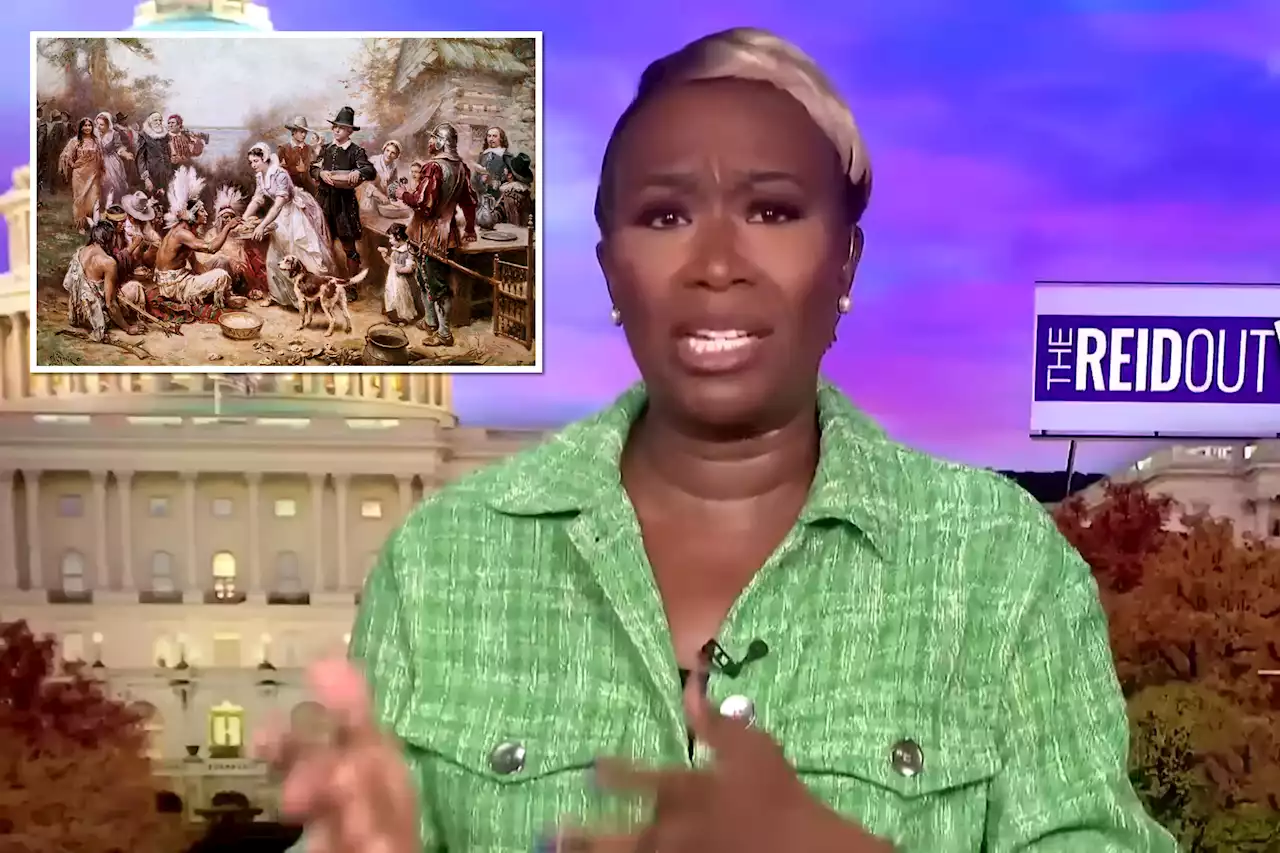 MSNBC’s Joy Reid blasts ‘myth’ of Thanksgiving, links holiday to slavery