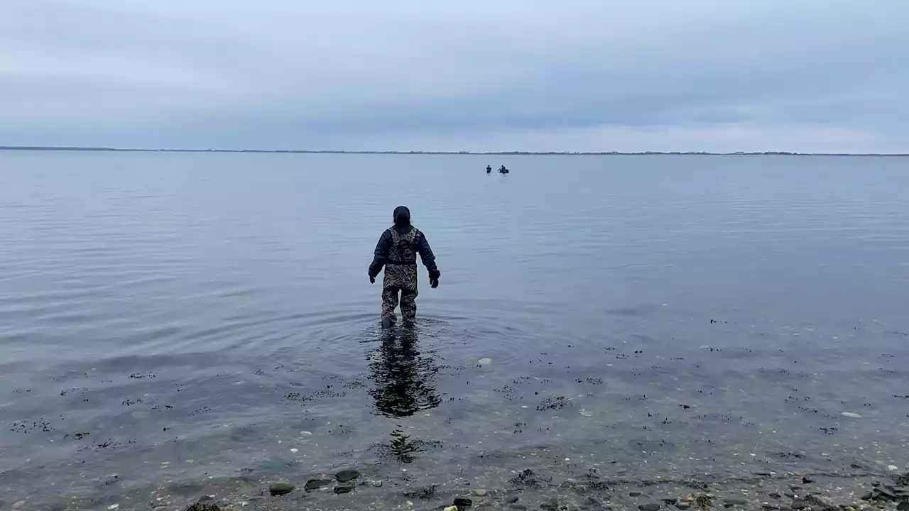 How kelp farming is helping revive the economy and ecology of a Long Island bay