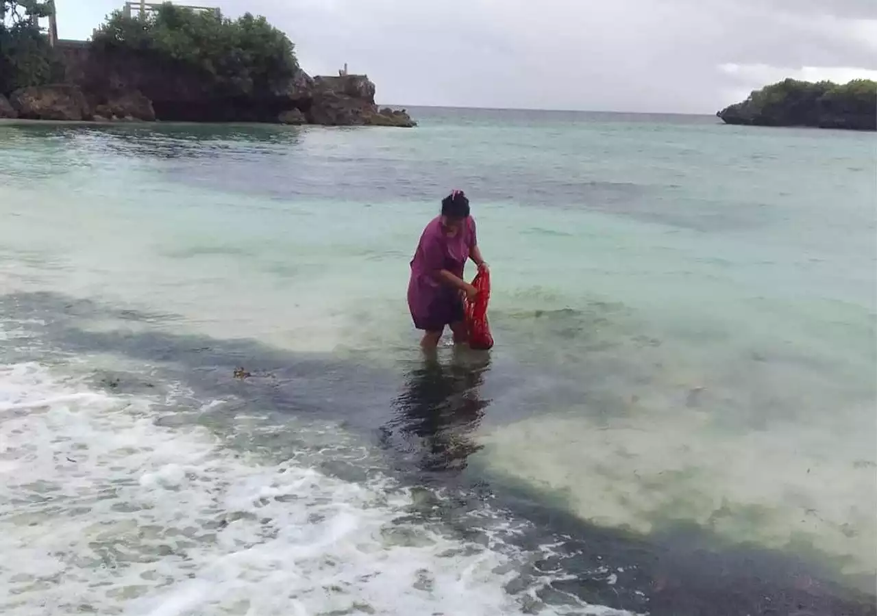 Boon or bane? Boracay’s algal bloom can provide income to poor local folk