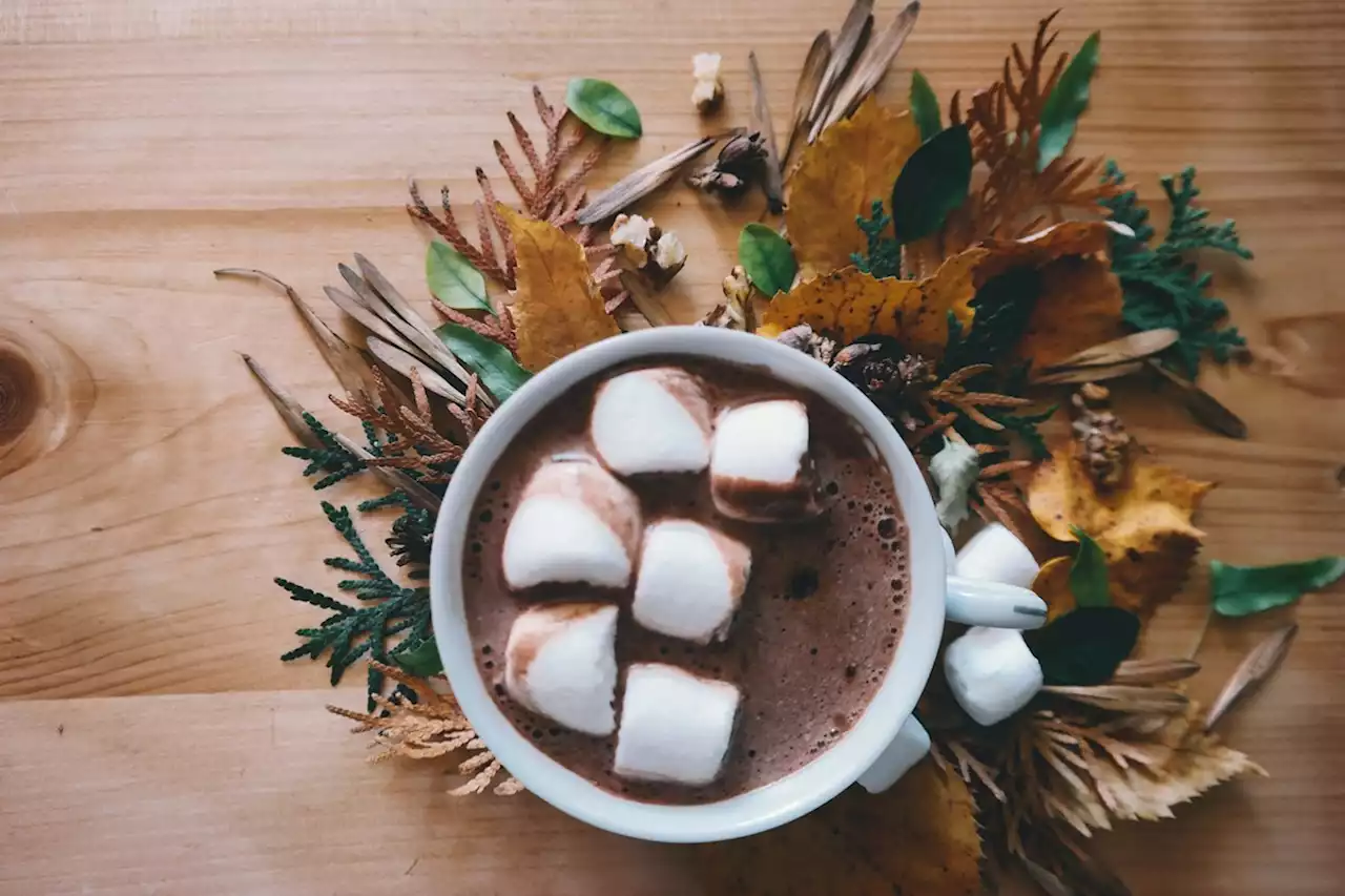 San Antonio Hyatt Regency River Walk's new food truck launches hot cocoa menu for holidays