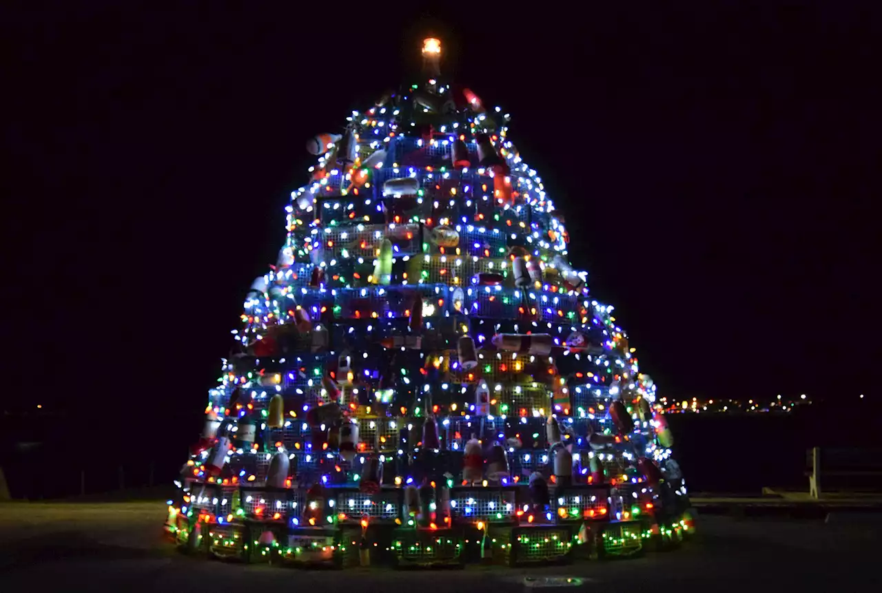 Lobster trap and buoy Christmas trees tradition grows in Southwest Nova Scotia | SaltWire