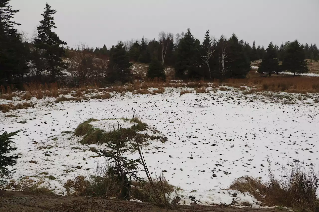 Popular Conception Bay South neighbourhood pond left dry after water and sewer work | SaltWire