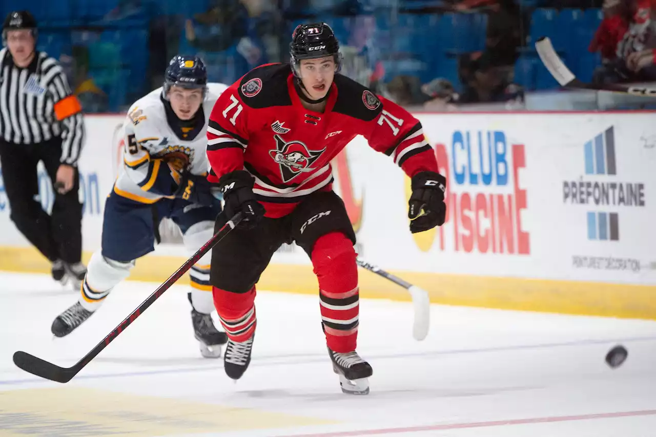 St. John's native Matteo Rotondi picks up pace in second year with Drummondville Voltigeurs | SaltWire