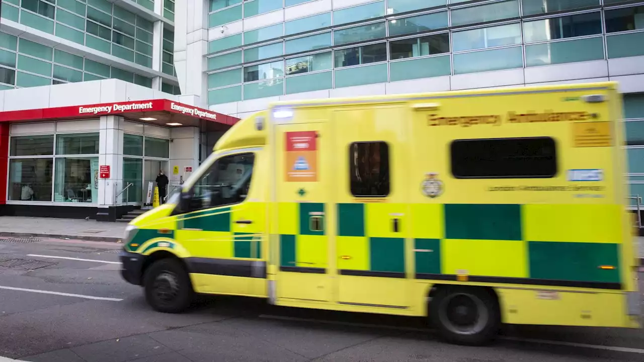 Patient caused ambulance crash after trying to hack off paramedic's ear with meat cleaver