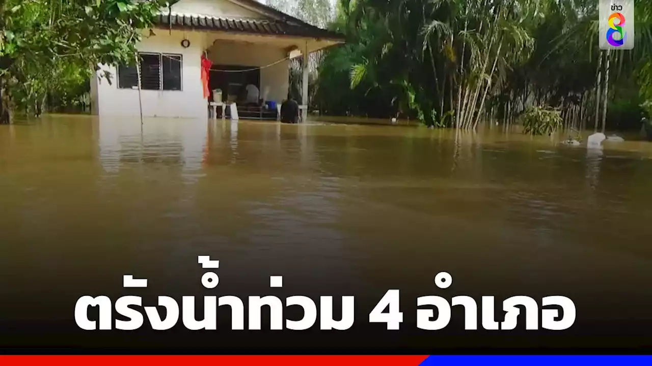 ตรังอ่วม! น้ำป่าหลากท่วม 4 อำเภอ สูงกว่า 1 เมตร ชาวบ้านเดือดร้อนกว่า 50 หลังคาเรือน