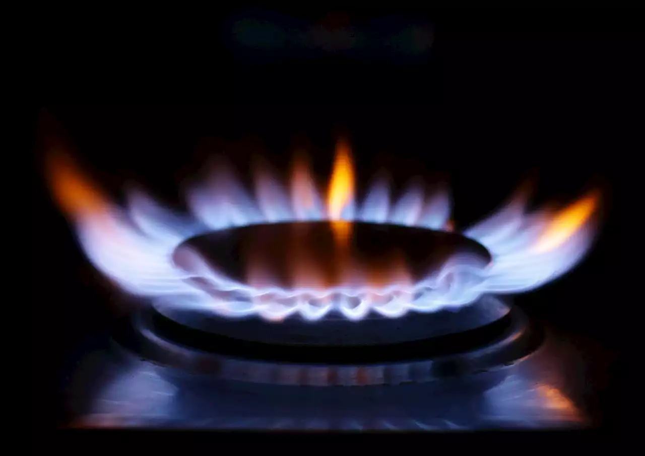 Energy price cap raised to £4,279 a year, but most households will be protected