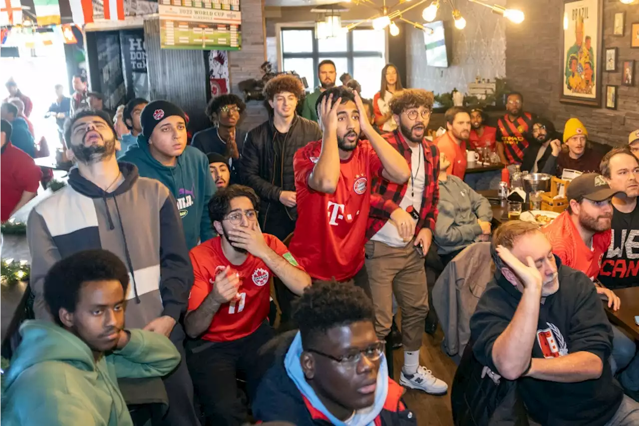 IN PHOTOS: Canadian fans cheer on team in World Cup match against Belgium