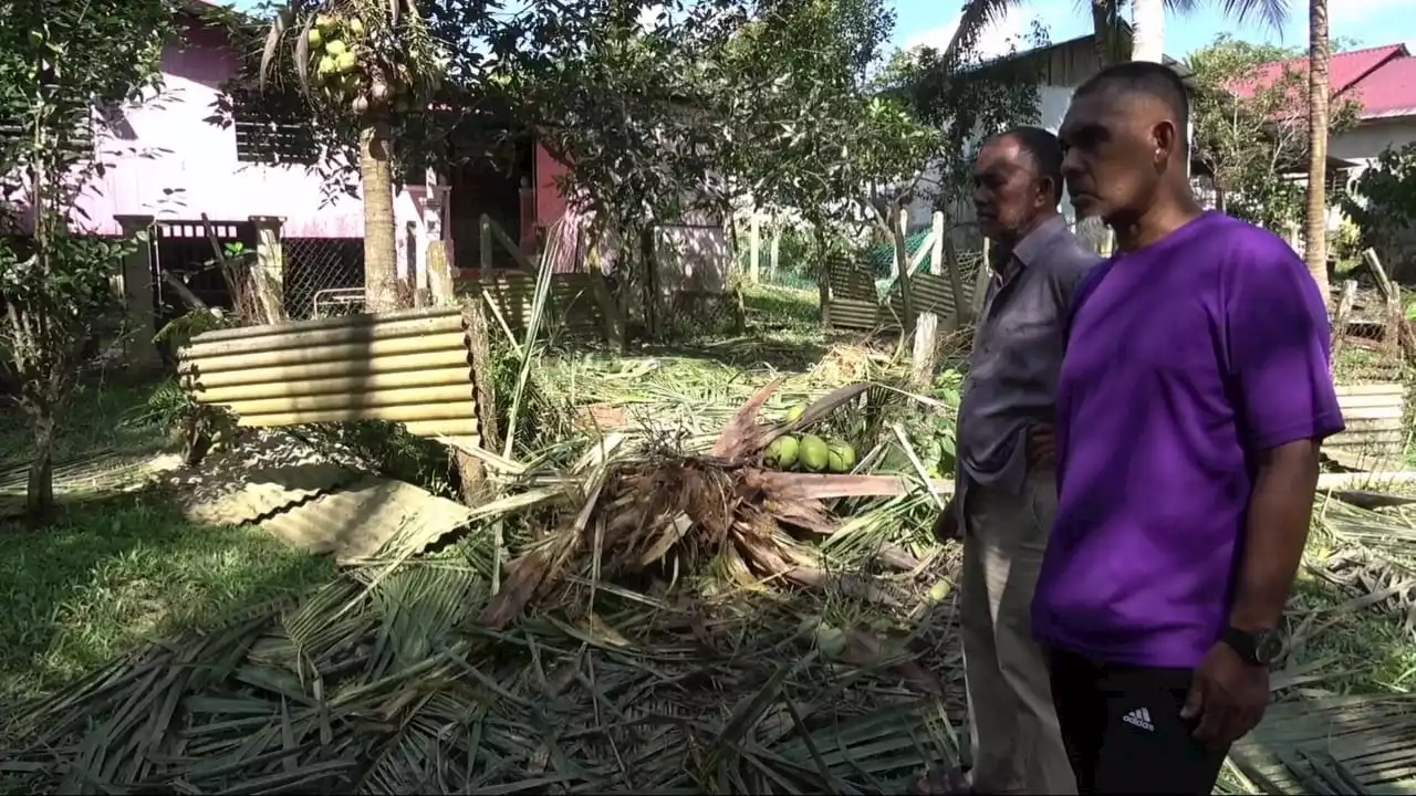 Penduduk Felda Bukit Sagu 1 bimbang gajah liar ceroboh kampung