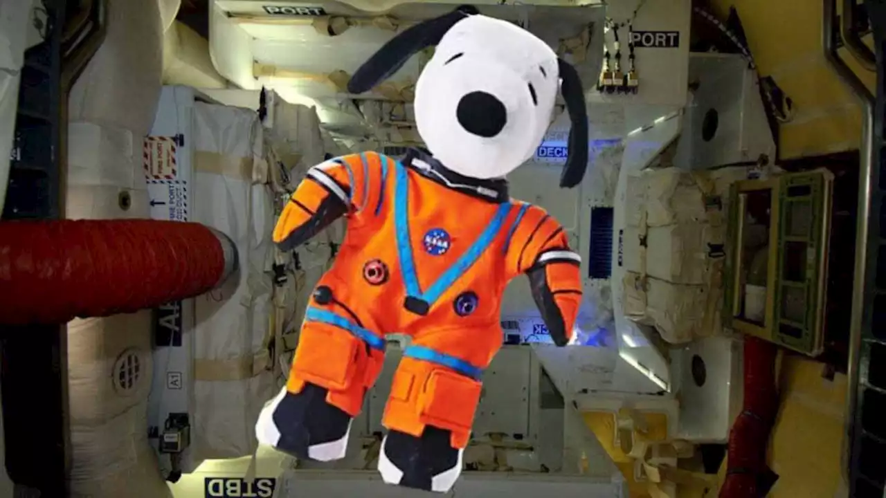 El astronauta Snoopy vuela en la Misión lunar de Artemis 1 | UNAM Global