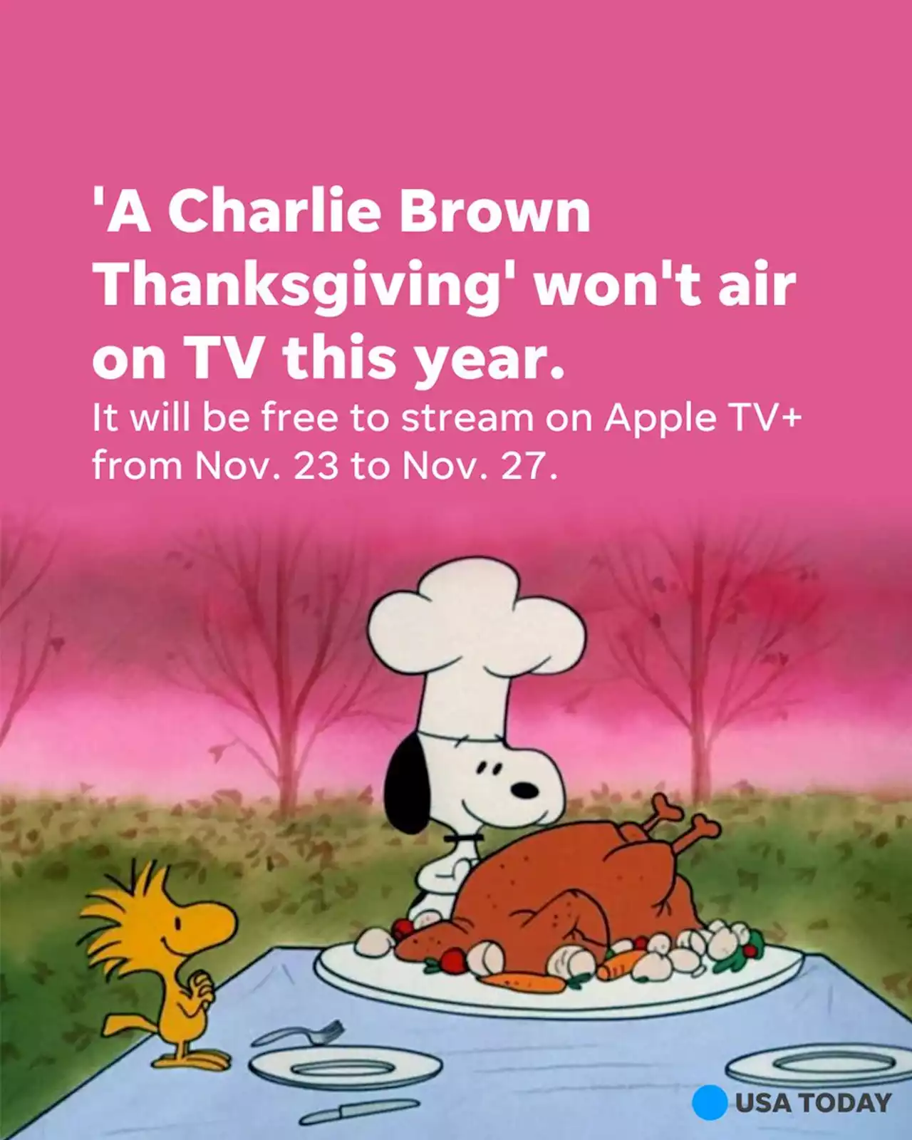 'A Charlie Brown Thanksgiving' won't air on TV in 2022. Here's how you can watch the classic.